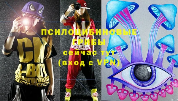 а пвп мука Новозыбков