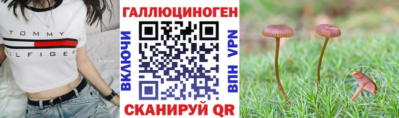 Псилоцибиновые грибы MAGIC MUSHROOMS  маркетплейс формула  гидра вход  Яблоновский  цены наркотик 